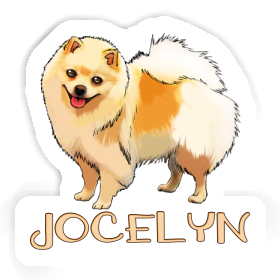 Aufkleber Deutsche Spitze Jocelyn Image