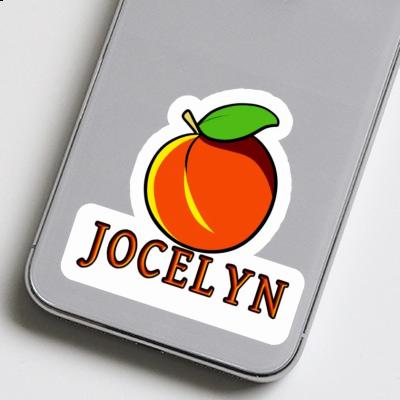 Apricot Sticker Jocelyn Notebook Apricot Sticker Jocelyn Gift package Image
