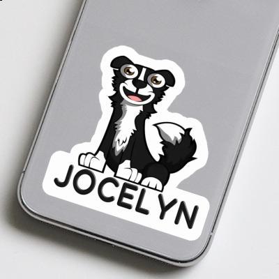 Autocollant Jocelyn Border Collie Laptop Autocollant Jocelyn Border Collie Laptop Image