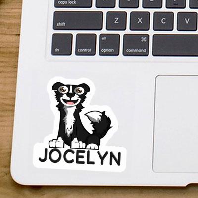 Sticker Border Collie Jocelyn Sticker Border Collie Jocelyn Image