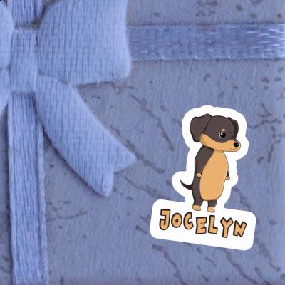 Jocelyn Sticker Dachshund Gift package Image