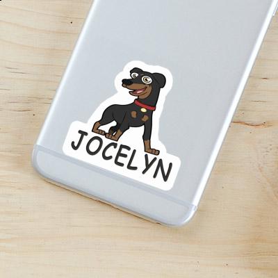 Pinscher Autocollant Jocelyn Pinscher Autocollant Jocelyn Image