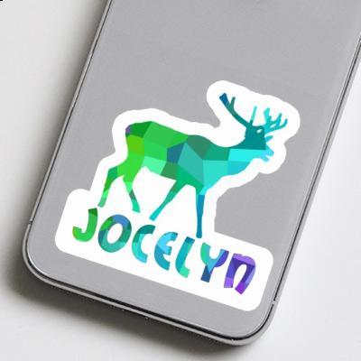 Sticker Jocelyn Hirsch Gift package Image