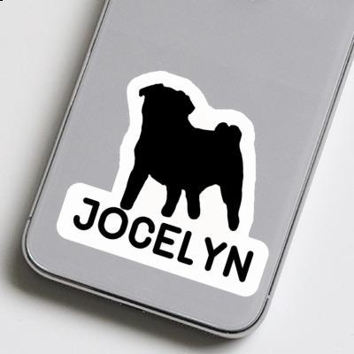 Carlin Autocollant Jocelyn Gift package Image