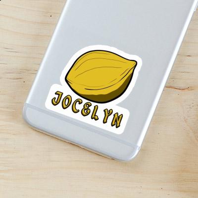 Jocelyn Sticker Nut Notebook Image