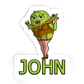 Autocollant Kiwi John Image