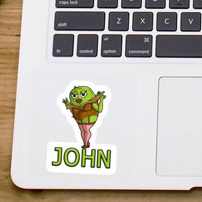 Sticker Kiwi John Sticker Kiwi John Image
