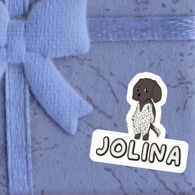 Sticker Small Munsterlander Jolina Notebook Sticker Small Munsterlander Jolina Gift package Image
