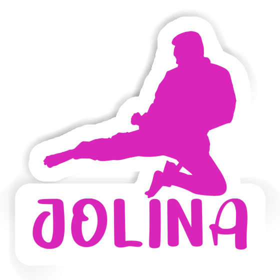 Aufkleber Jolina Karateka Notebook Aufkleber Jolina Karateka Gift package Image
