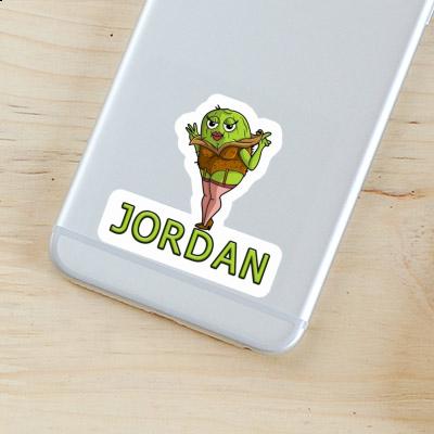 Sticker Kiwi Jordan Notebook Sticker Kiwi Jordan Gift package Image
