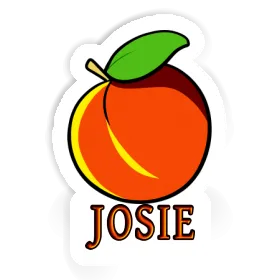 Sticker Josie Apricot Image