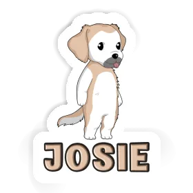 Sticker Josie Golden Retriever Image