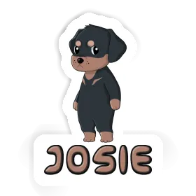 Sticker Josie Rottweiler Image