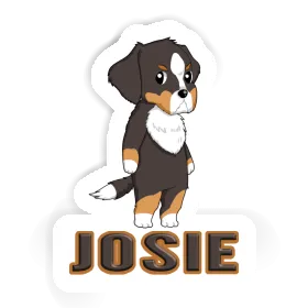 Bernese Mountain Dog Sticker Josie Image