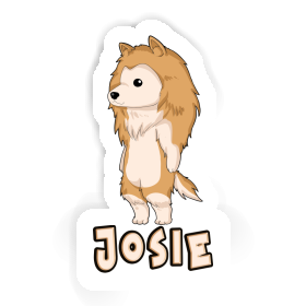 Josie Sticker Collie Image