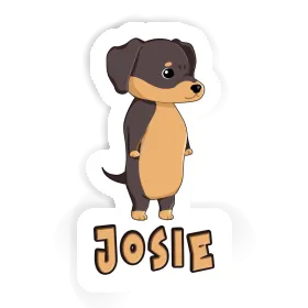 Sticker Dachshund Josie Image