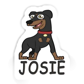 Sticker Josie German Pinscher Image