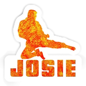 Josie Sticker Karateka Image