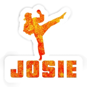 Josie Sticker Karateka Image