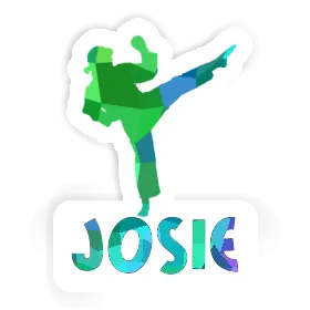 Josie Sticker Karateka Image