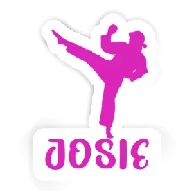 Karateka Sticker Josie Image