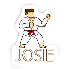 Josie Sticker Karateka Image