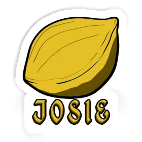 Sticker Josie Nut Image