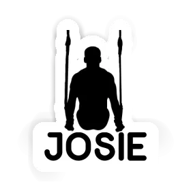 Josie Sticker Ring gymnast Image