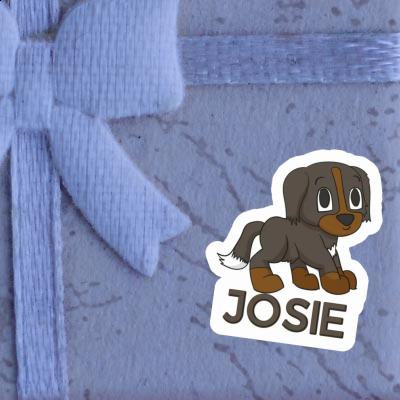 Josie Sticker Mountain Dog Gift package Image