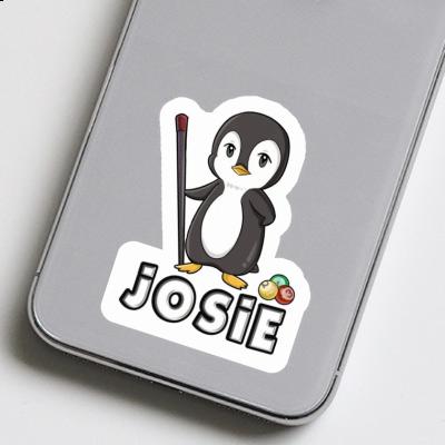 Billiards Player Sticker Josie Laptop Image