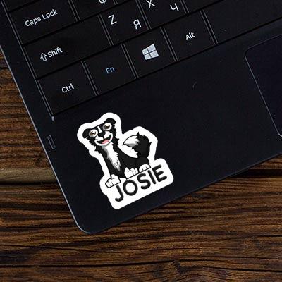 Sticker Border Collie Josie Laptop Sticker Border Collie Josie Laptop Image