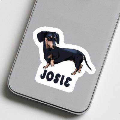 Sticker Dachshund Josie Gift package Image