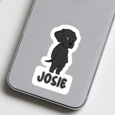 Autocollant Josie Labrador Notebook Image