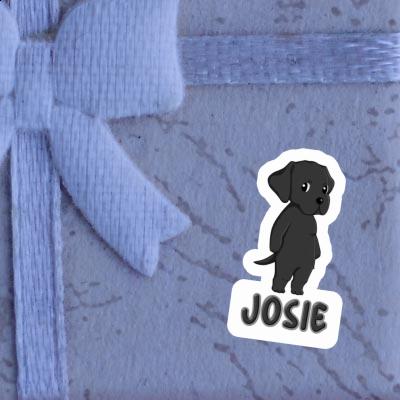 Autocollant Josie Labrador Gift package Image