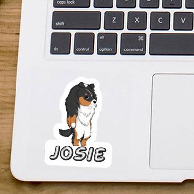 Autocollant Josie Sheltie Gift package Image