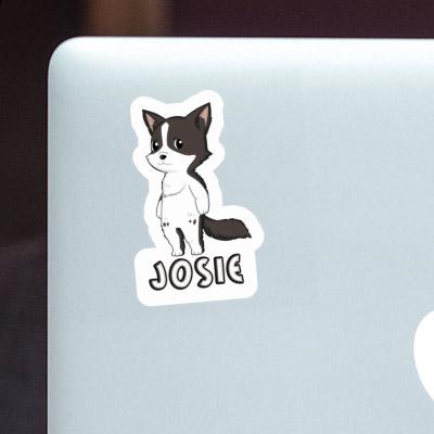 Josie Sticker Border Collie Image