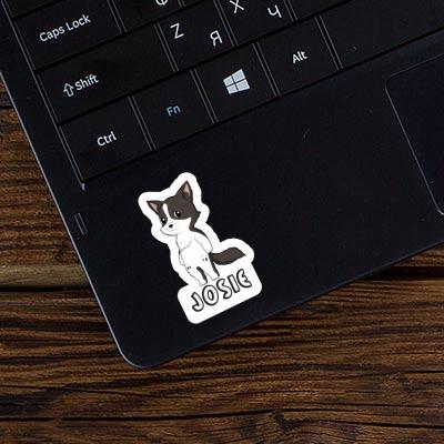 Josie Sticker Border Collie Notebook Image