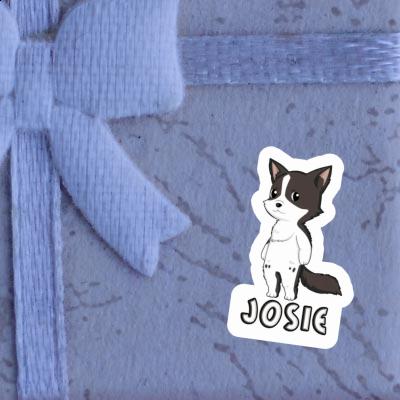 Sticker Border Collie Josie Laptop Image