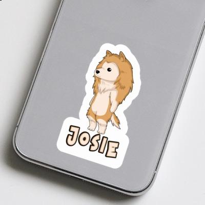 Colley Autocollant Josie Gift package Image