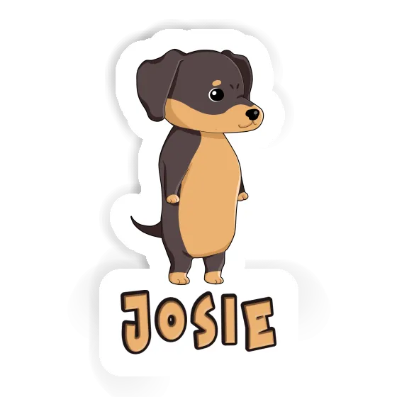 Josie Autocollant Teckel Laptop Image