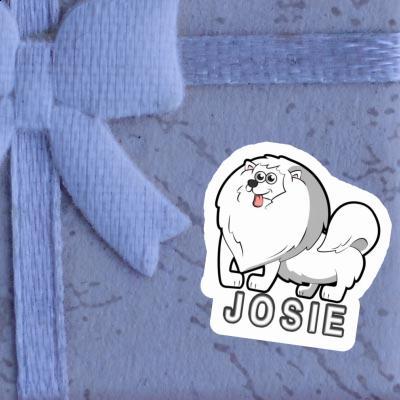 Sticker German Spitz Josie Image