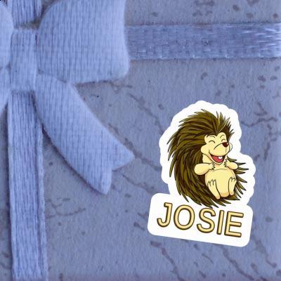 Josie Sticker Hedgehog Notebook Image