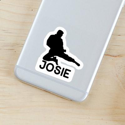 Josie Sticker Karateka Laptop Image