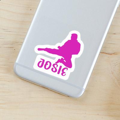 Josie Sticker Karateka Laptop Image