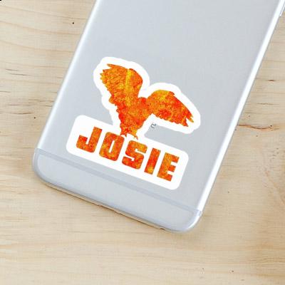 Aufkleber Eule Josie Gift package Image