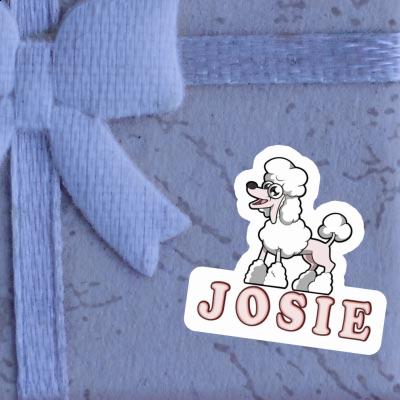 Josie Sticker Poodle Gift package Image