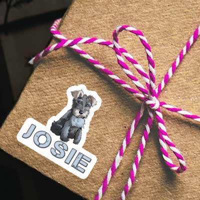 Josie Autocollant Schnauzer Notebook Josie Autocollant Schnauzer Gift package Image