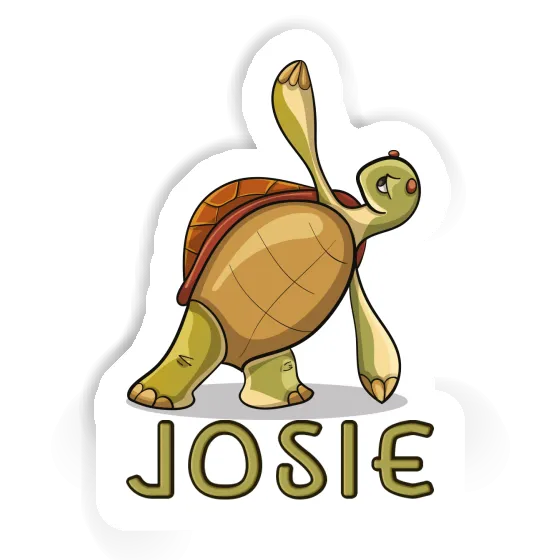 Sticker Yoga Turtle Josie Gift package Image