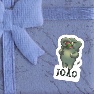 Sticker Elephant João Notebook Sticker Elephant João Gift package Image