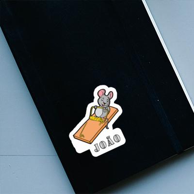 Aufkleber João Maus Notebook Aufkleber João Maus Gift package Image